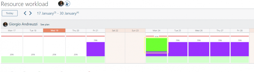 resources workload according to project type