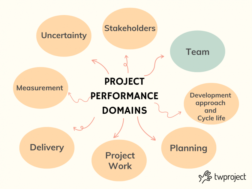 team performance domain pmbok 7