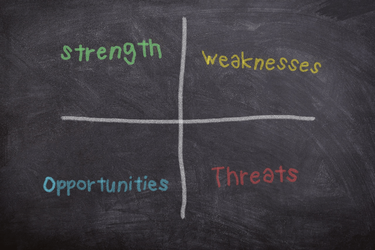 the SWOT analysis