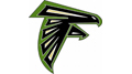 000533.Falcon